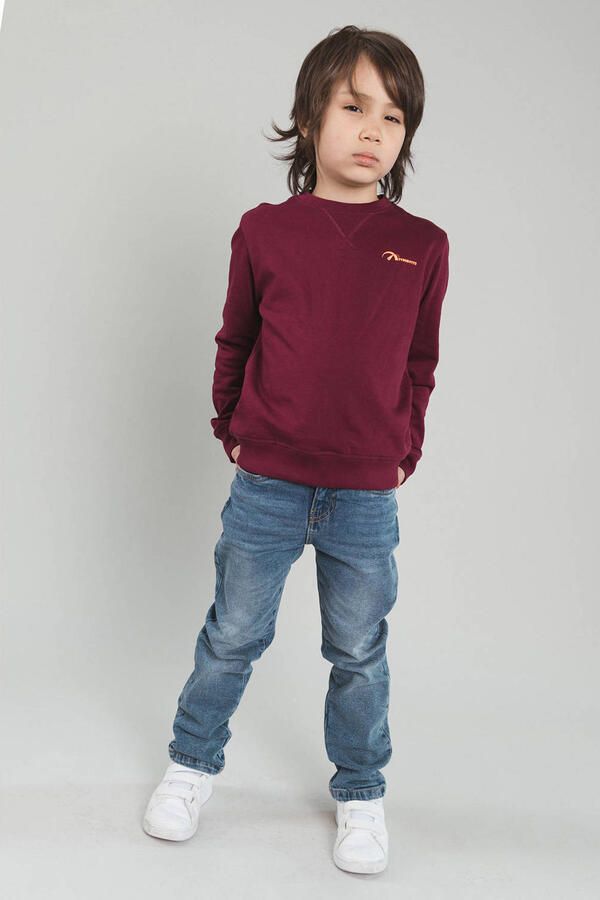 TYGO & vito sweater met backprint donkerrood Backprint maat 146-152 - Foto 2