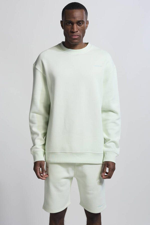 Vänner sweater lichtgroen