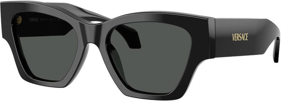 Versace zonnebril 0VE4492U zwart