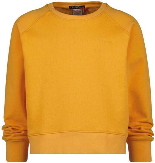 VINGINO Essentials sweater oranje 104