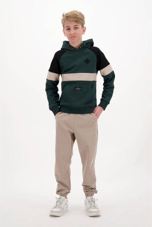 VINGINO Jongens Truien & Vesten Nabo Groen