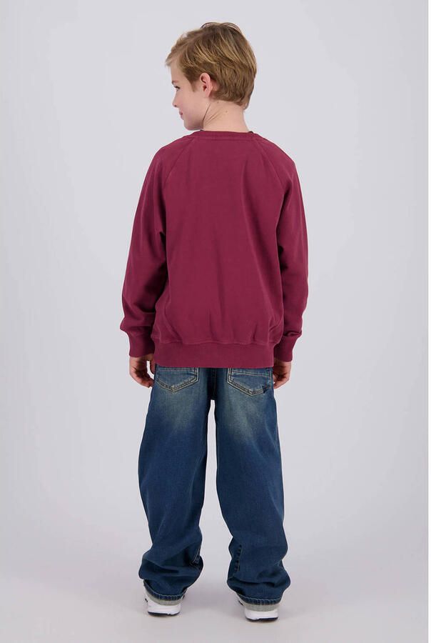 Vingino baggy jeans blauw