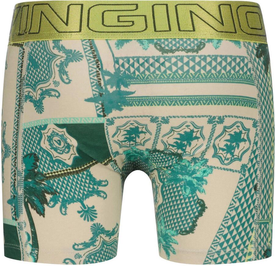 Vingino boxershort groen multicolor (set van 5) - Foto 2