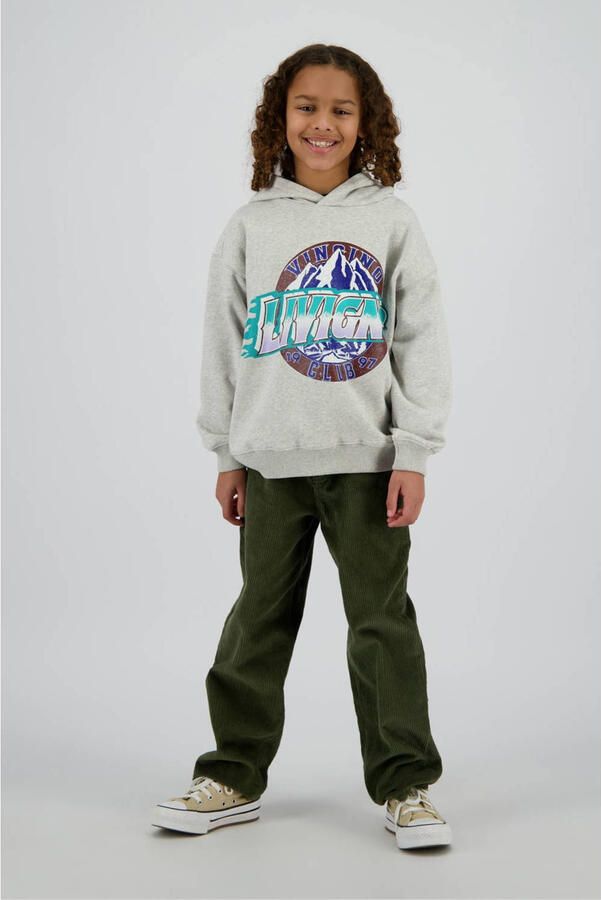 VINGINO Jongens Truien & Vesten Noldi Grijs - Foto 7