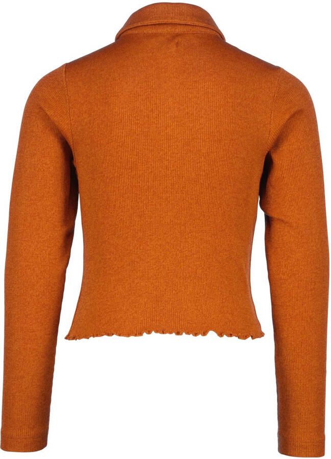 VINGINO longsleeve Jesmine bruin Meisjes Polyester Klassieke kraag Effen 104 - Foto 2