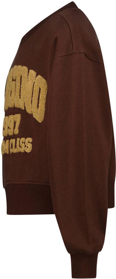 Vingino rechtvallende sweater met logo donkerbruin - Foto 3