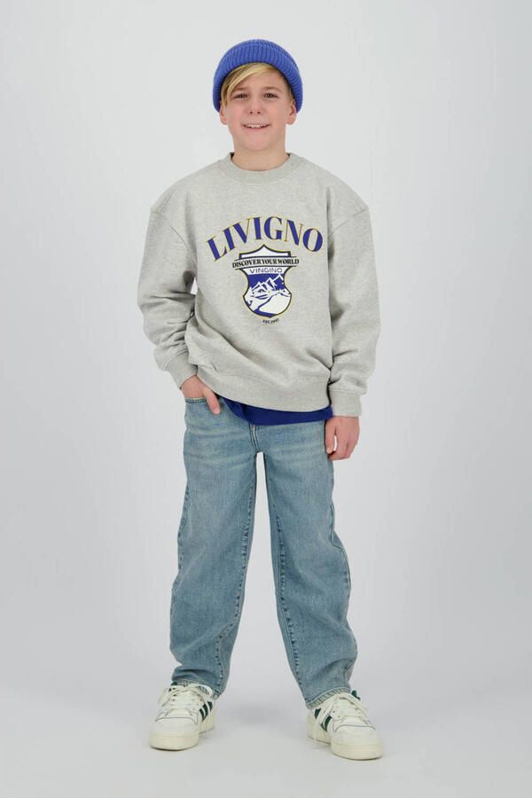 VINGINO Jongens Truien & Vesten Nuri Lichtgrijs - Foto 6