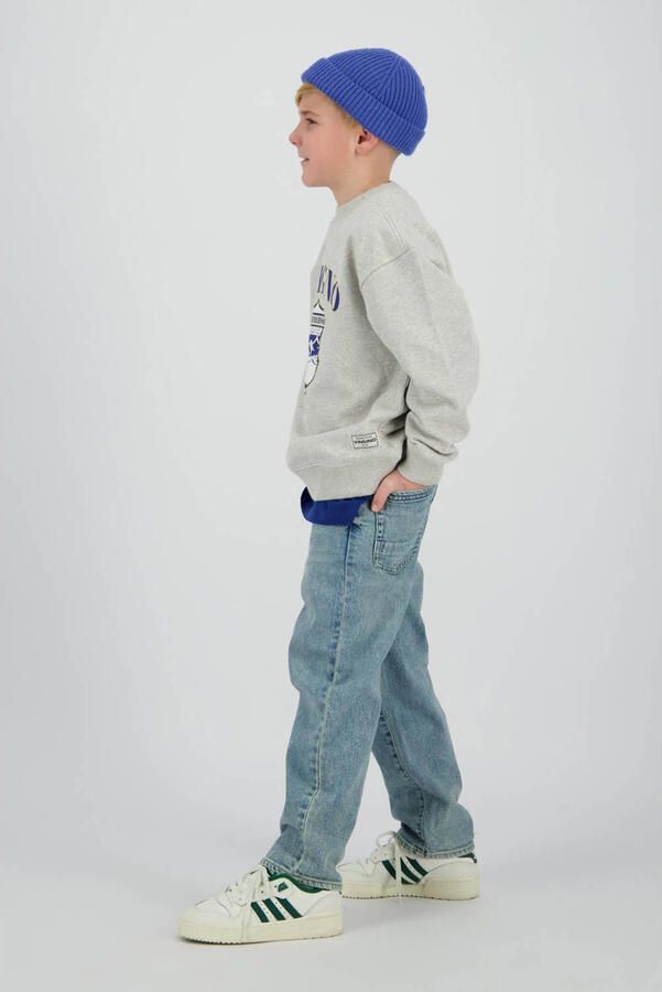 VINGINO Jongens Truien & Vesten Nuri Lichtgrijs - Foto 5