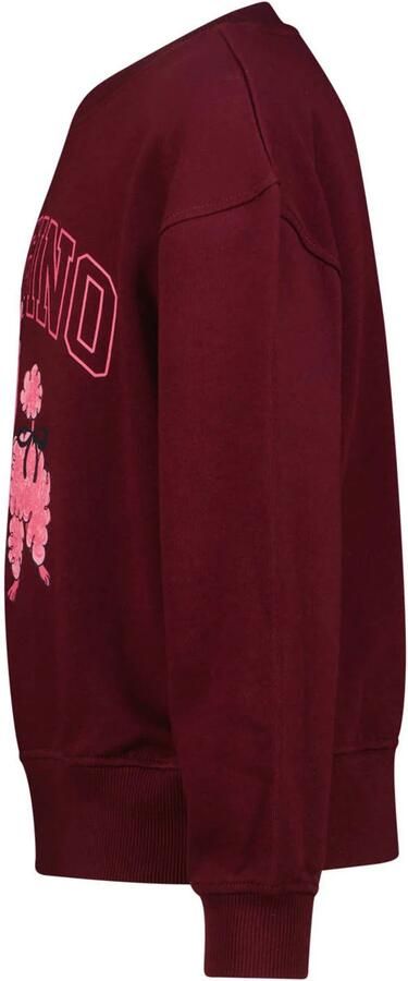 Vingino sweater met logo donkerrood Logo - Foto 3