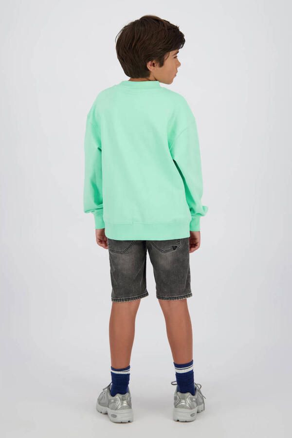 VINGINO Jongens Truien & Vesten Icon-crewneck Groen - Foto 4