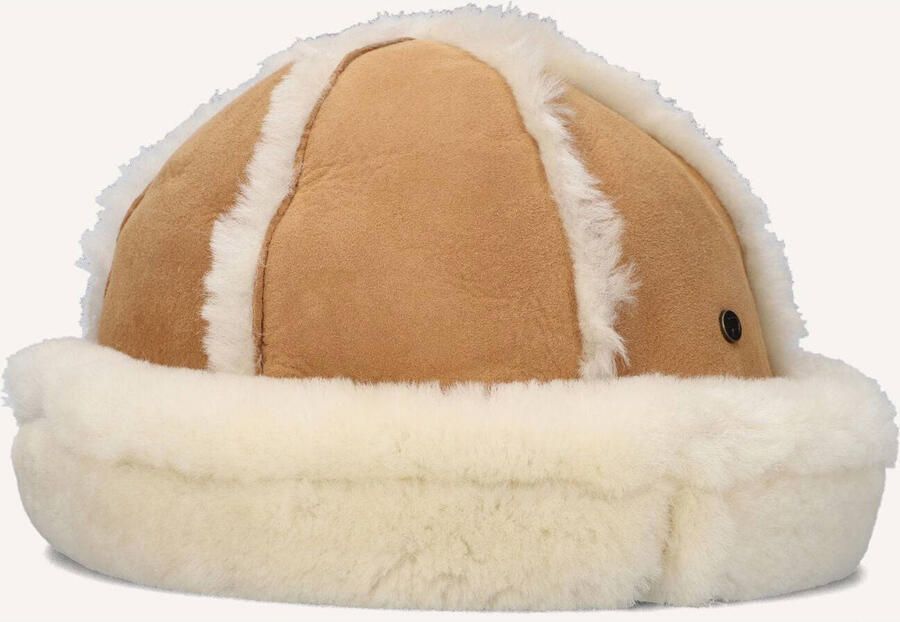 Warmbat Bruine Merinowol Cobar Hat Multicolor Dames - Foto 3