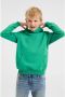 WE Fashion Blue Ridge unisex hoodie groen Sweater 110 116 - Thumbnail 1