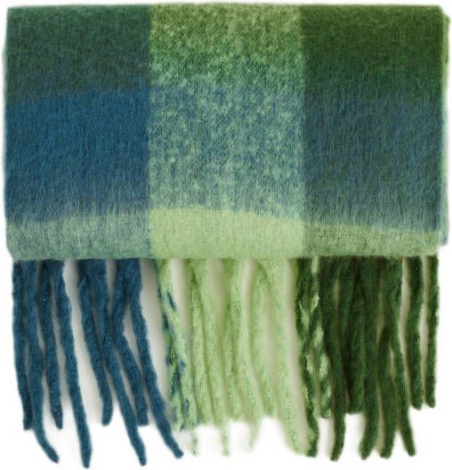 WE Fashion geruite sjaal met franjes groen blauw