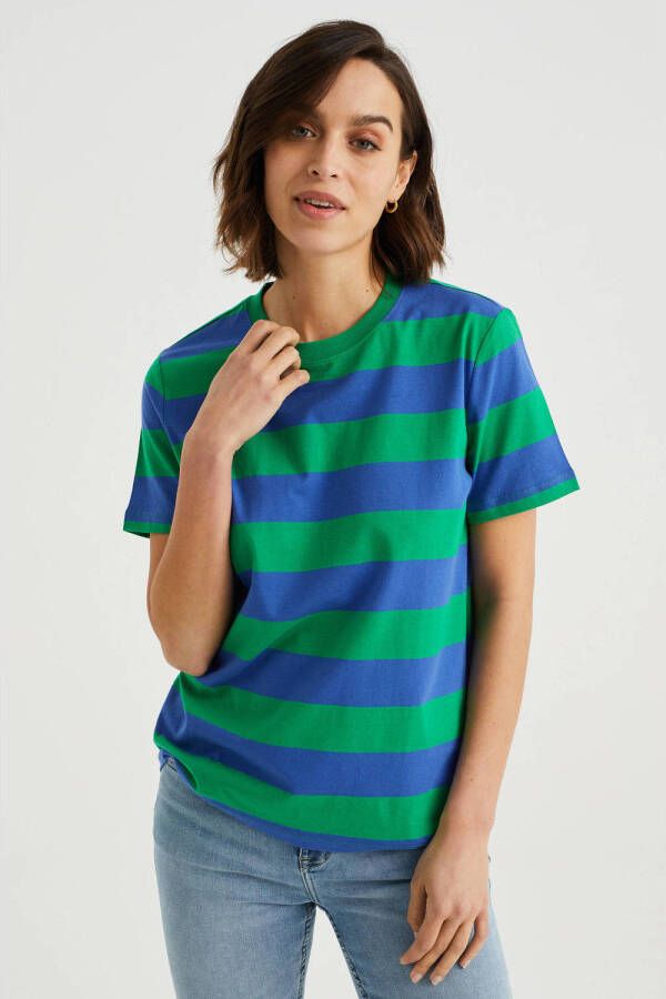 WE Fashion gestreept T-shirt blauw groen