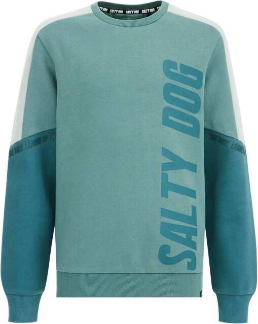WE Fashion Salty Dog sweater met tekst mintgroen aqua