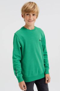 WE Fashion sweater groen