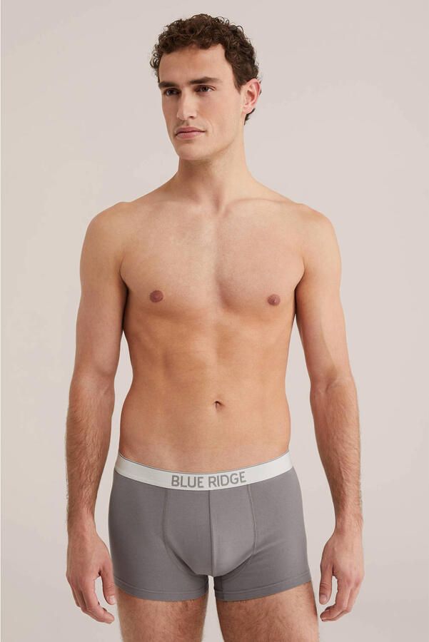 WE Fashion Blue Ridge boxershort taupe
