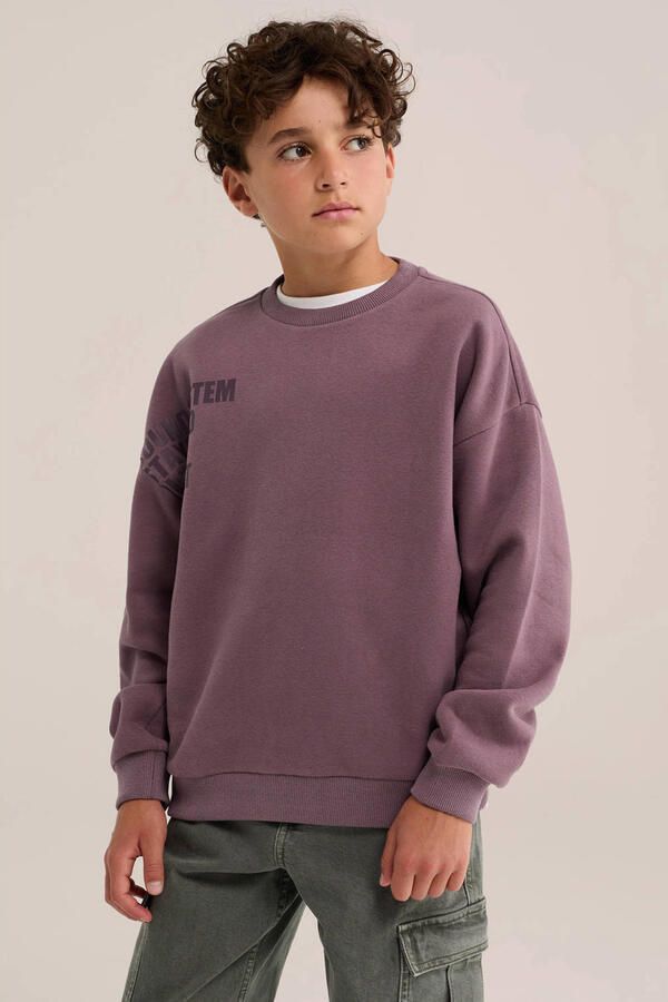 WE Fashion Blue Ridge sweater met backprint violet