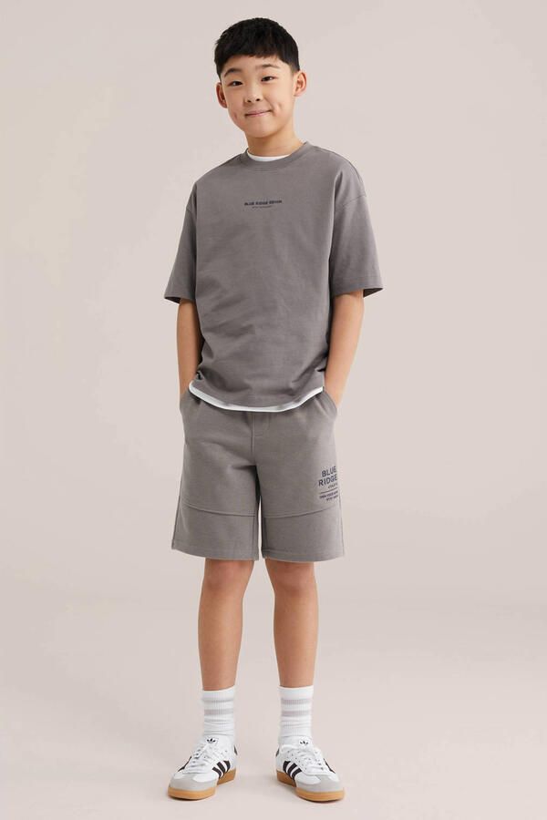 WE Fashion Blue Ridge T-shirt grijs