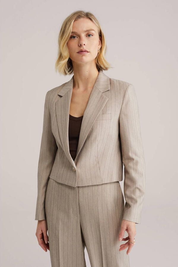 WE Fashion cropped blazer met krijtstreep grijsbruin