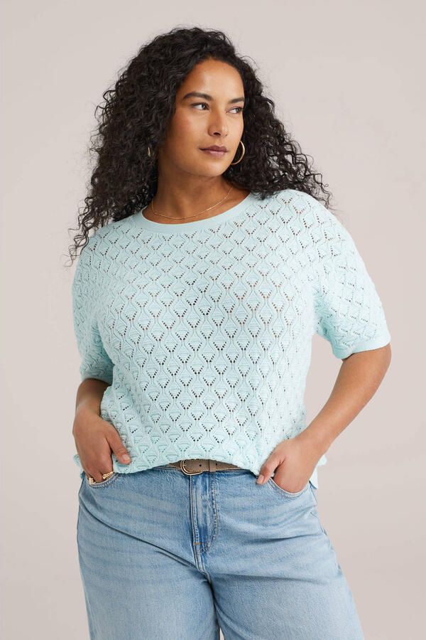 WE Fashion Curve top lichtblauw gebreid
