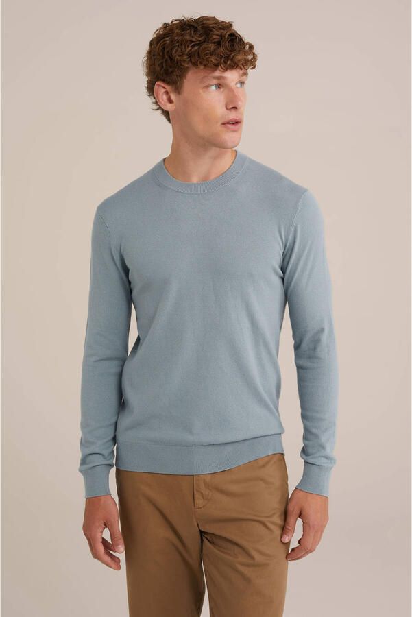 WE Fashion WE Fundamentals fijngebreide trui lichtblauw