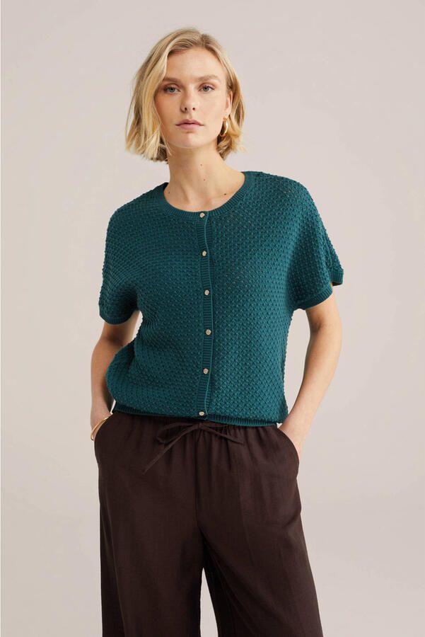 WE Fashion gebreid vest blauw