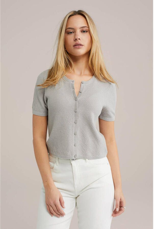 WE Fashion gebreid vest lichtgrijs met lurex