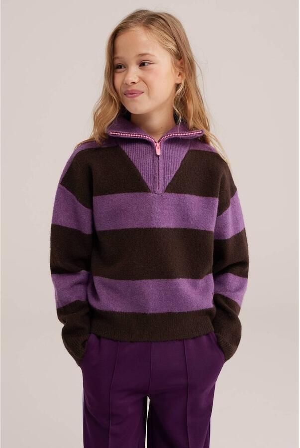 WE Fashion gebreide gestreepte sweater paars Streep