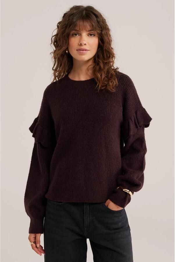 WE Fashion gebreide trui aubergine