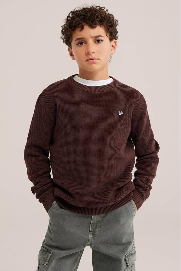WE Fashion gebreide trui bruin