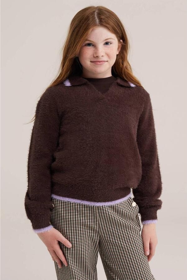 WE Fashion gebreide trui donkerbruin lila