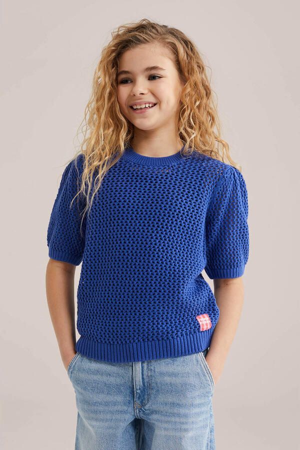 WE Fashion gebreide trui marineblauw
