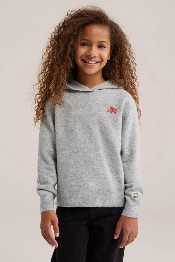 WE Fashion gebreide trui met borduursels en wol grijs