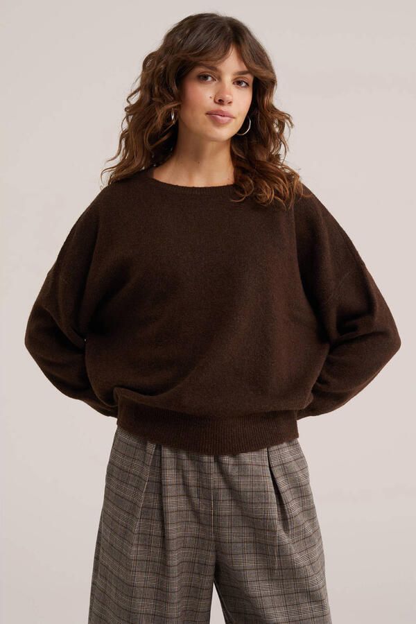 WE Fashion gebreide trui met wol bruin