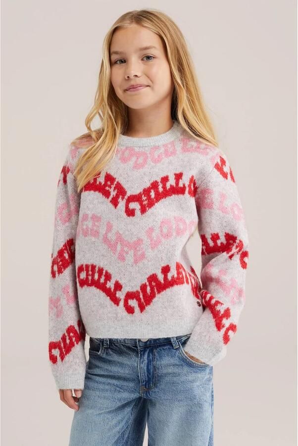 WE Fashion gebreide trui met wol grijs Meisjes Polyester Ronde hals Meerkleurig