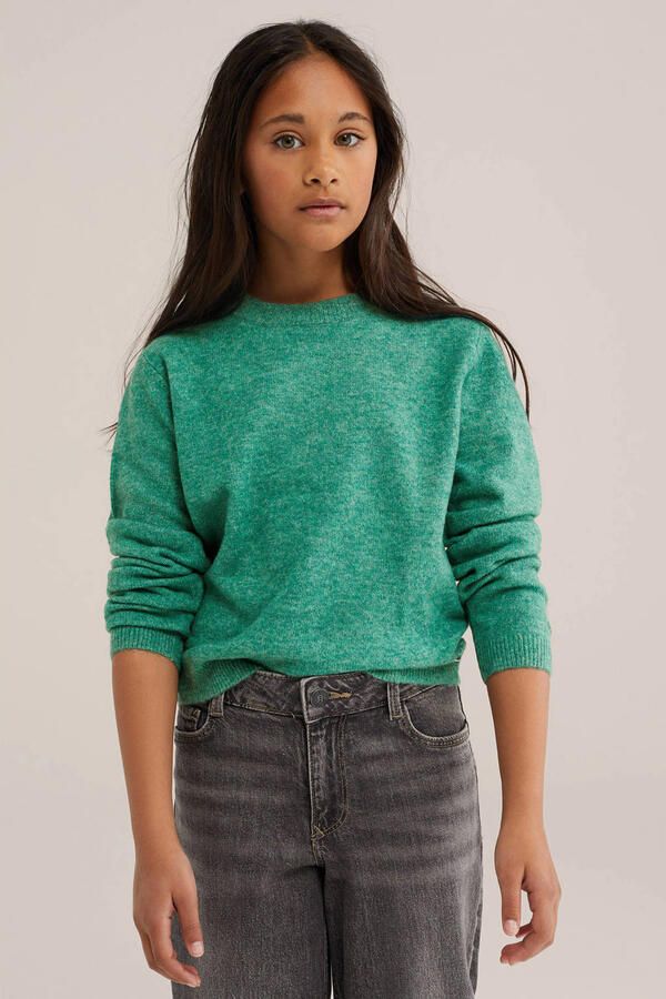 WE Fashion gebreide trui met wol groen
