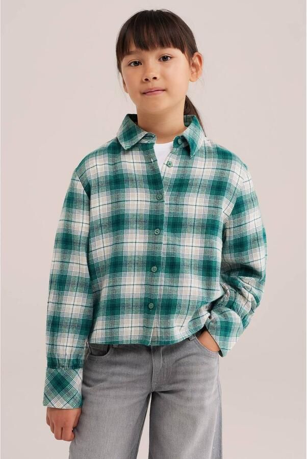 WE Fashion geruite blouse groen wit Meisjes Katoen Klassieke kraag Ruit