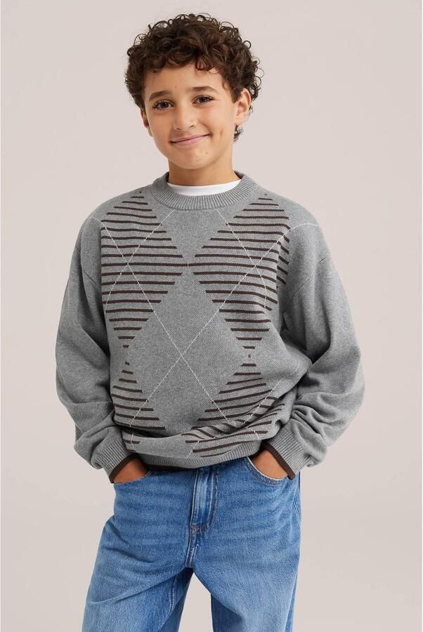 WE Fashion geruite sweater grijs Ruit