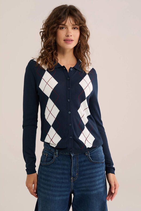 WE Fashion geruite vest blauw