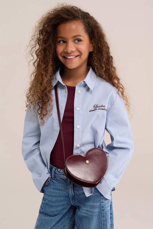 WE Fashion gestreepte blouse met borduursels lichtblauw