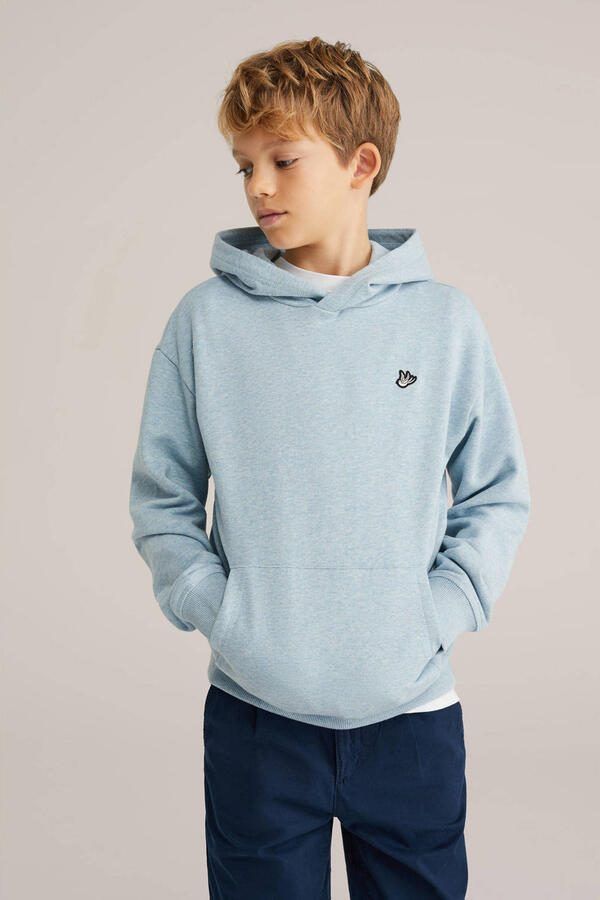WE Fashion hoodie lichtblauw