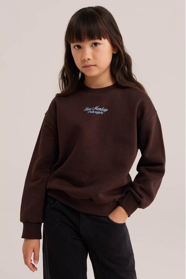 WE Fashion junior sweater met backprint donkerbruin lichtblauw