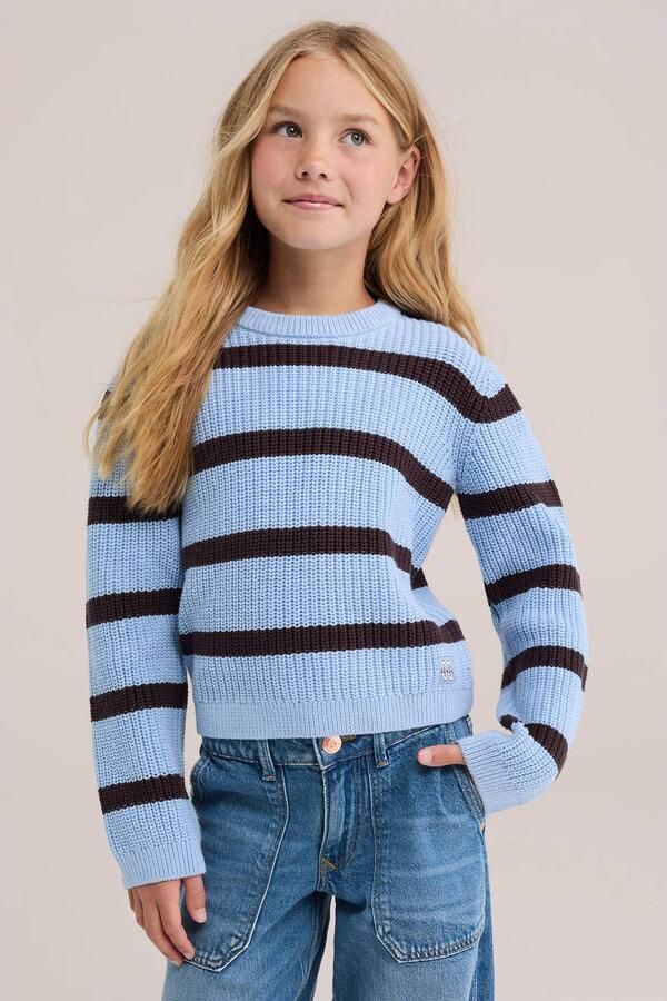 WE Fashion katoenen gebreide gestreepte trui blauw Streep