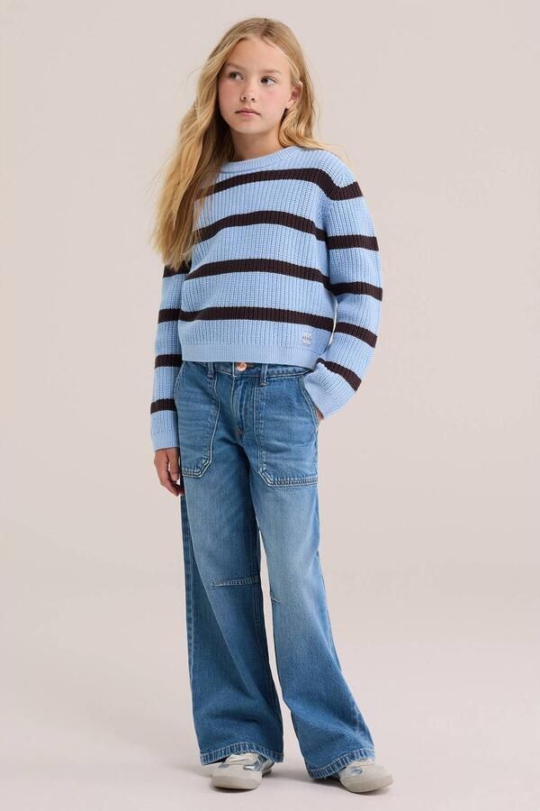 WE Fashion katoenen gebreide gestreepte trui blauw Streep - Foto 2