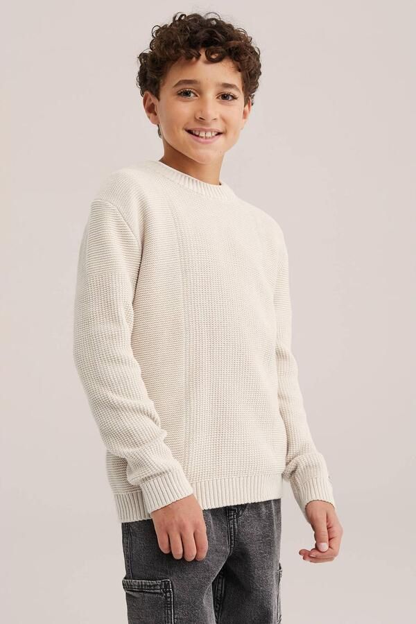 WE Fashion katoenen gebreide trui beige