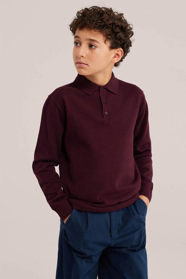 WE Fashion katoenen gebreide trui bordeauxrood