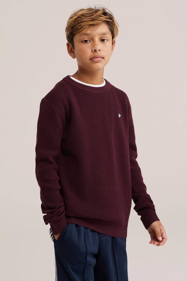 WE Fashion katoenen gebreide trui donkerrood Effen