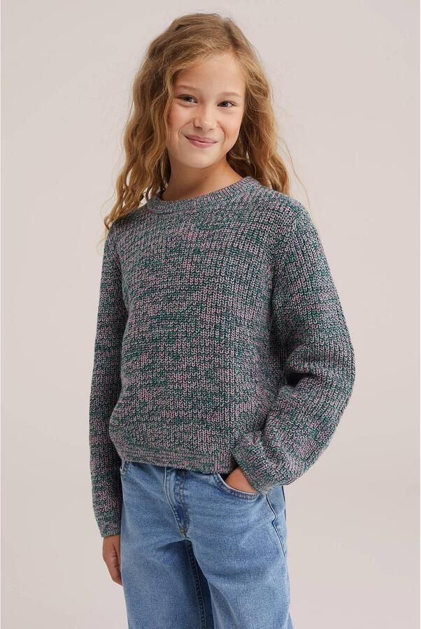 WE Fashion katoenen gebreide trui groen Effen