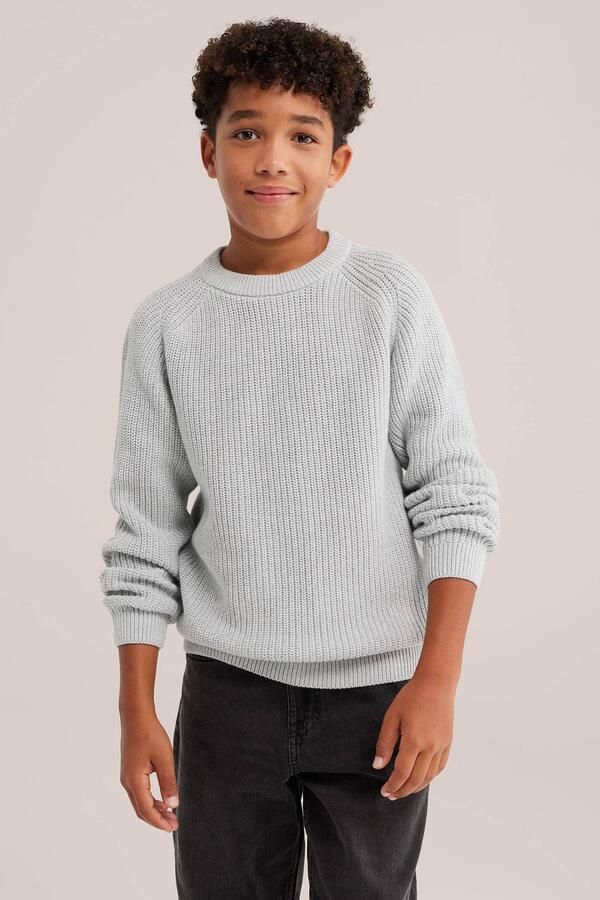 WE Fashion katoenen gebreide trui lichtgrijs